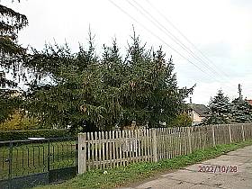 brachflaeche ratzelstrasse gruenau-siedlung 43665 1387970